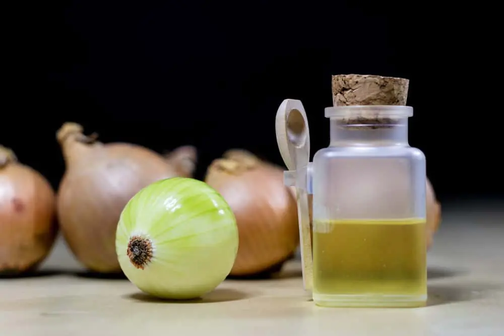 Crème D’oignons